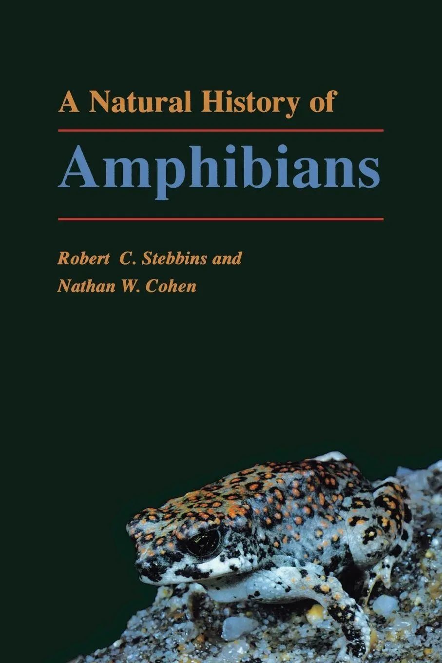 A Natural History of Amphibians | Robert C. Stebbins (u. a.) | Taschenbuch | Einband - flex.(Paperback) | Englisch | 1997 | Princeton University Press | EAN 9780691102511 - Stebbins, Robert C.