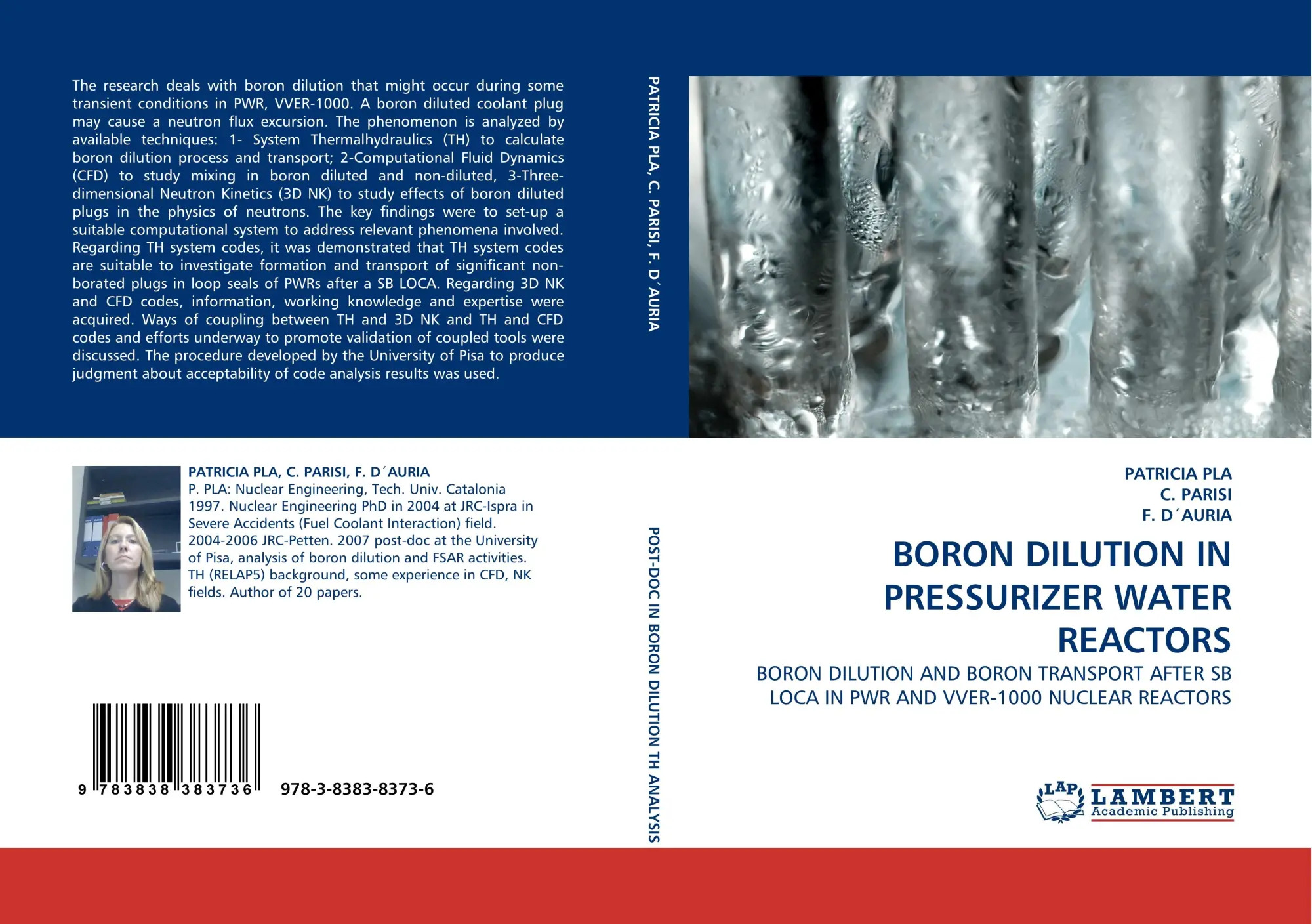BORON DILUTION IN PRESSURIZER WATER REACTORS | BORON DILUTION AND BORON TRANSPORT AFTER SB LOCA IN PWR AND VVER-1000 NUCLEAR REACTORS | Patricia Pla (u. a.) | Taschenbuch | Paperback | 276 S. | 2010 - Pla, Patricia