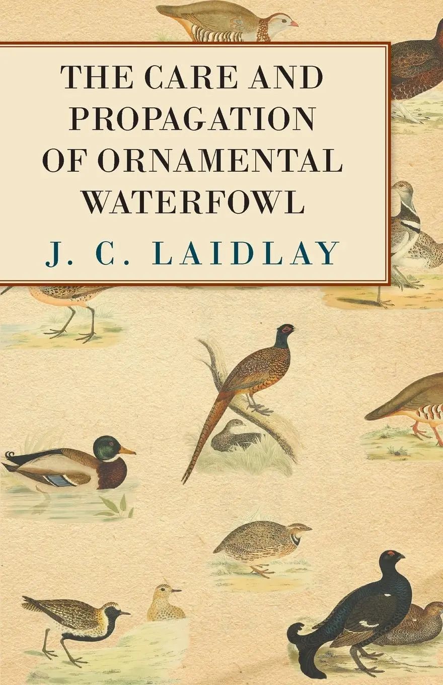 The Care and Propagation of Ornamental Waterfowl | J. C. Laidlay | Taschenbuch | Kartoniert / Broschiert | Englisch | 2011 | Kolthoff Press | EAN 9781446540053 - Laidlay, J. C.