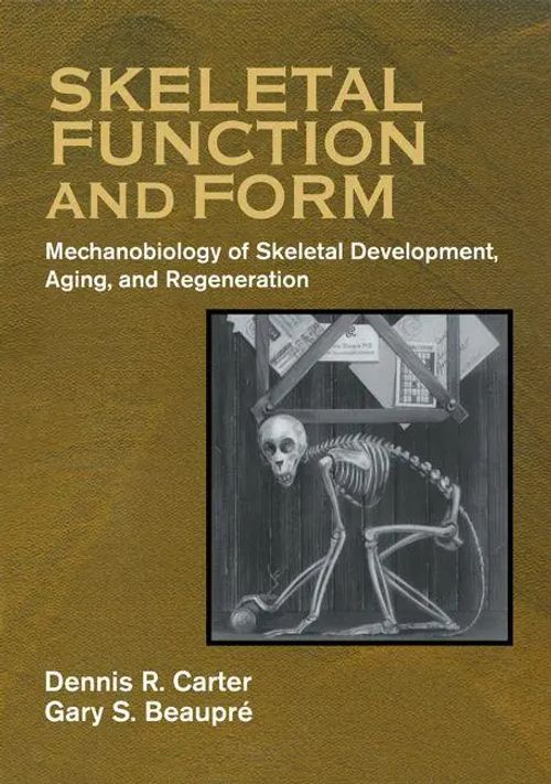 Skeletal Function and Form | Mechanobiology of Skeletal Development, Aging, and Regeneration | Dennis R. Carter (u. a.) | Taschenbuch | Kartoniert / Broschiert | Englisch | 2007 | EAN 9780521714754 - Carter, Dennis R.