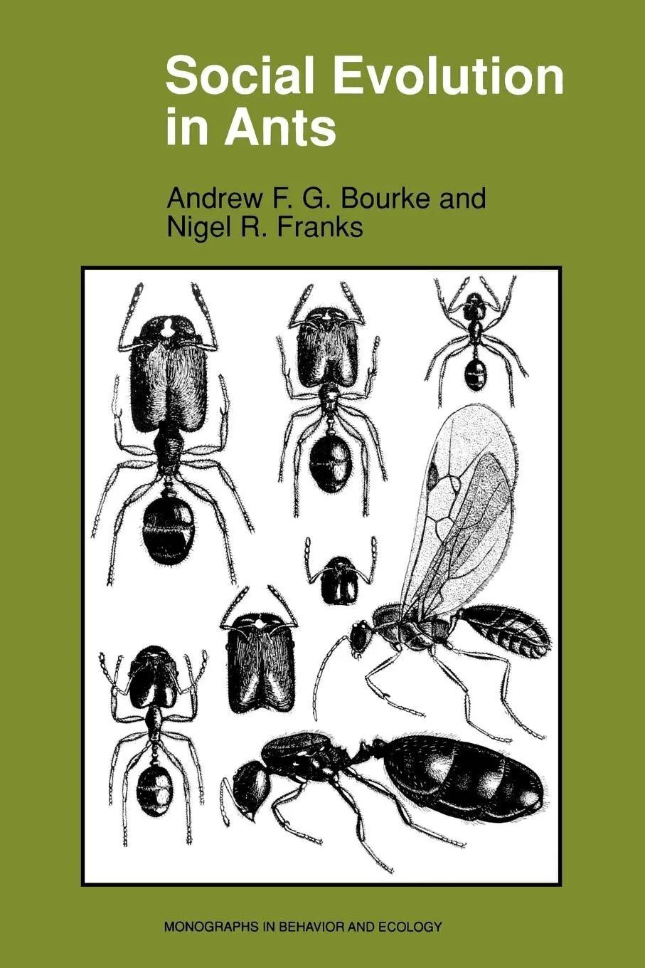 Social Evolution in Ants | Andrew F. G. Bourke (u. a.) | Taschenbuch | Kartoniert / Broschiert | Englisch | 1995 | Princeton University Press | EAN 9780691044262 - Bourke, Andrew F. G.