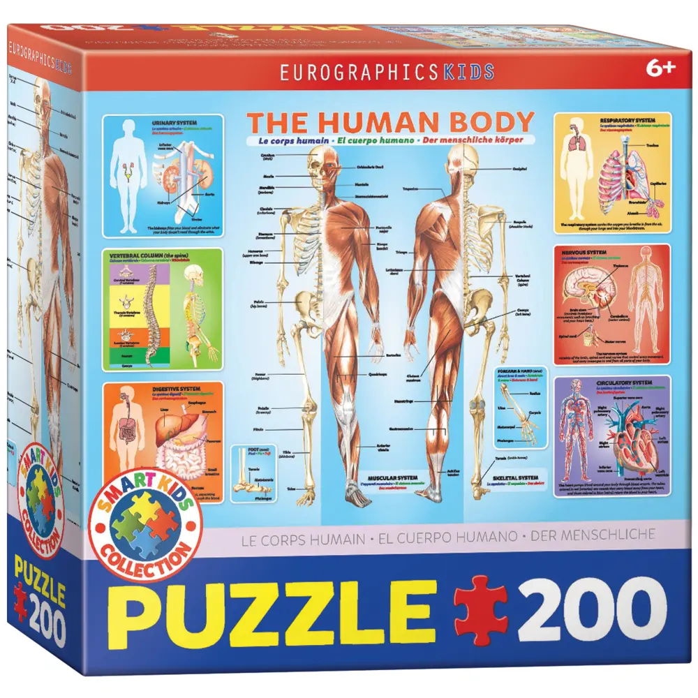 Cover: 628136310000 | The Human Body 200-Piece Puzzle | Spiel | Englisch | 2022