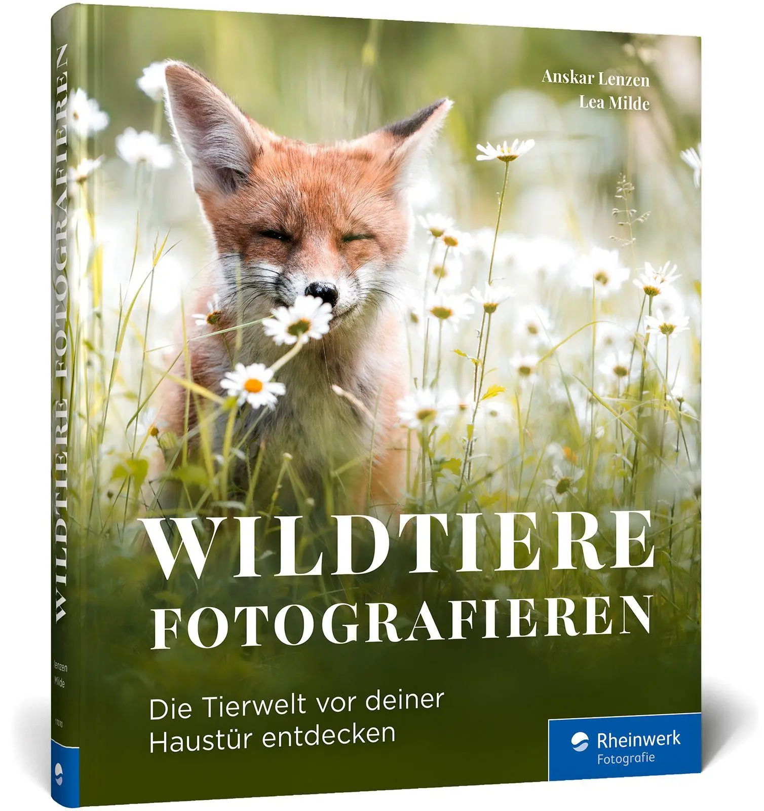 Cover: 9783367110100 | Wildtiere fotografieren | Die Tierwelt vor deiner Haustür entdecken