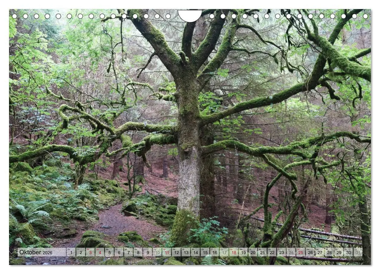 Bild: 9783457820100 | Gogledd Cymru - Nord-Wales (Wandkalender 2026 DIN A4 quer),...