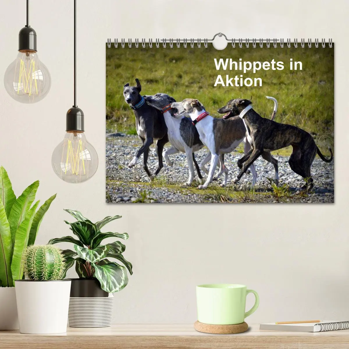 Bild: 9783516080100 | Whippets in Aktion (Wandkalender 2026 DIN A4 quer), CALVENDO...