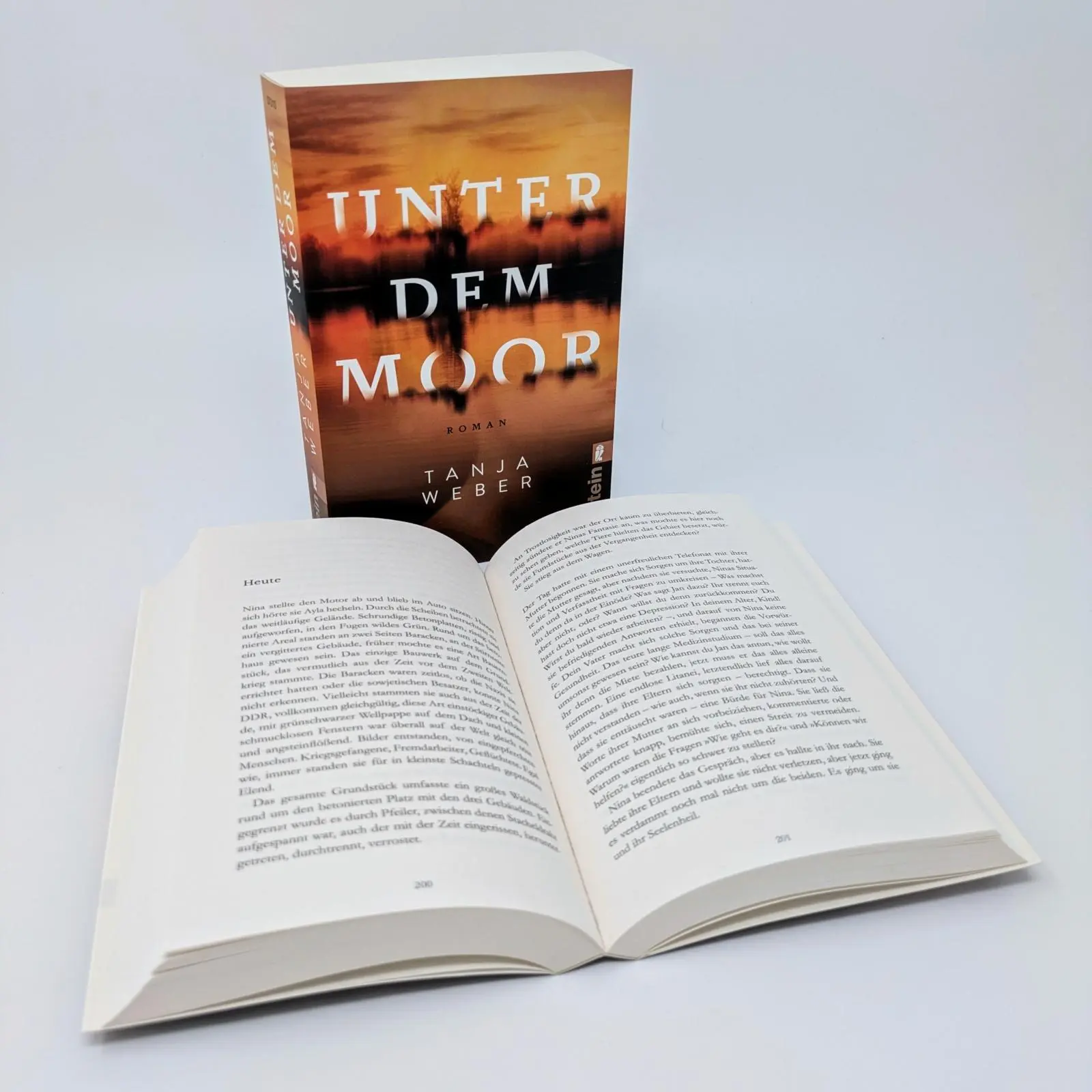 Bild: 9783548070100 | Unter dem Moor | Tanja Weber | Taschenbuch | 352 S. | Deutsch | 2025