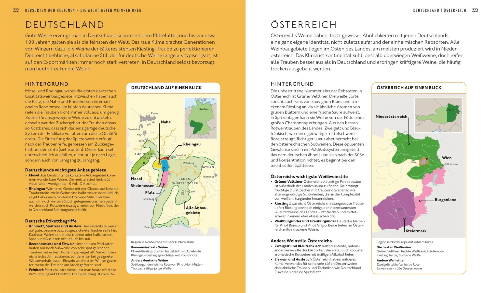Bild: 9783831040100 | Workshop Wein | Entdecken, Verkosten, Genießen | Marnie Old | Buch
