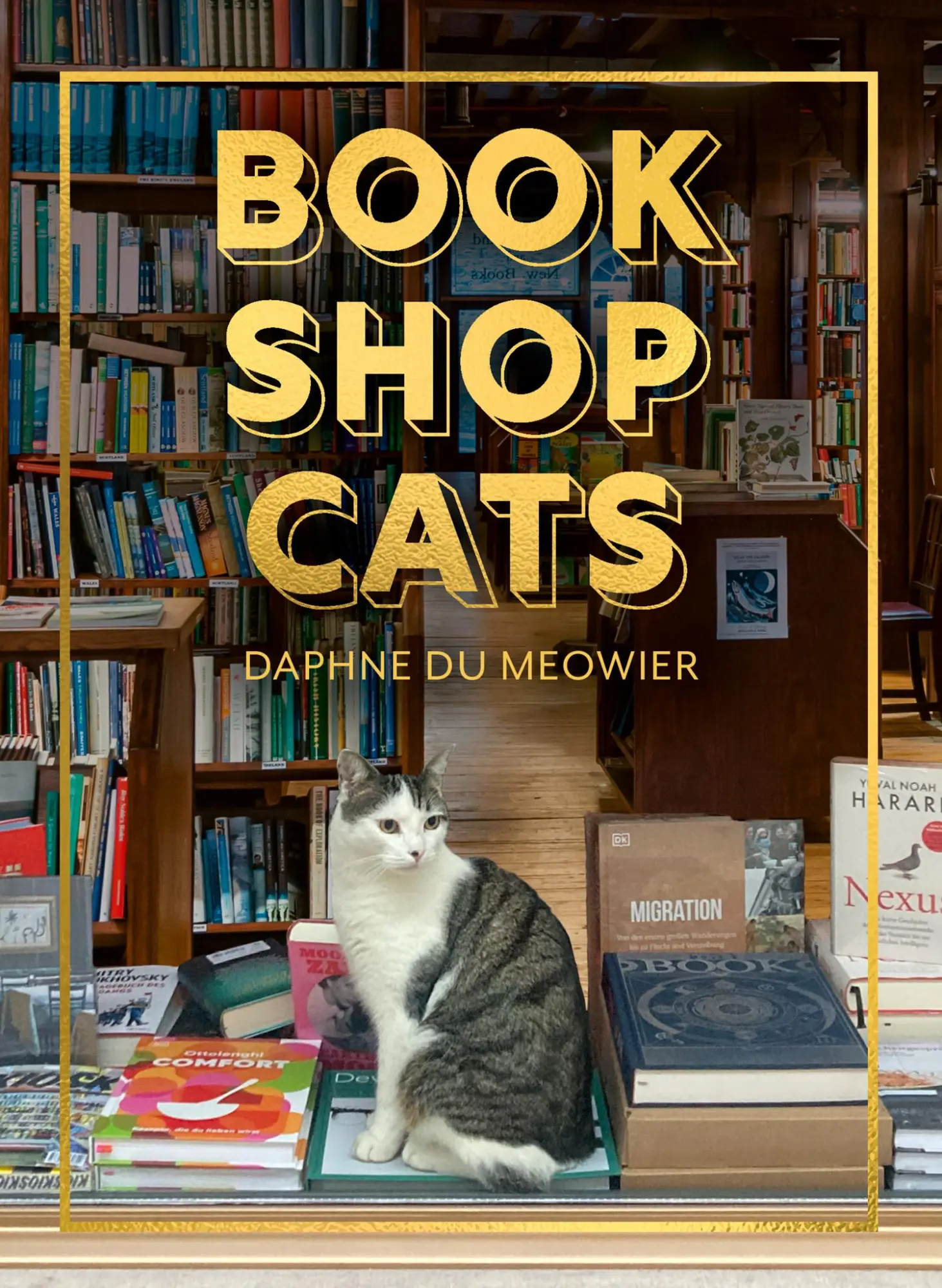 Cover: 9780008710200 | Bookshop Cats | Daphne Du Meowier | Buch | 128 S. | Englisch | 2026
