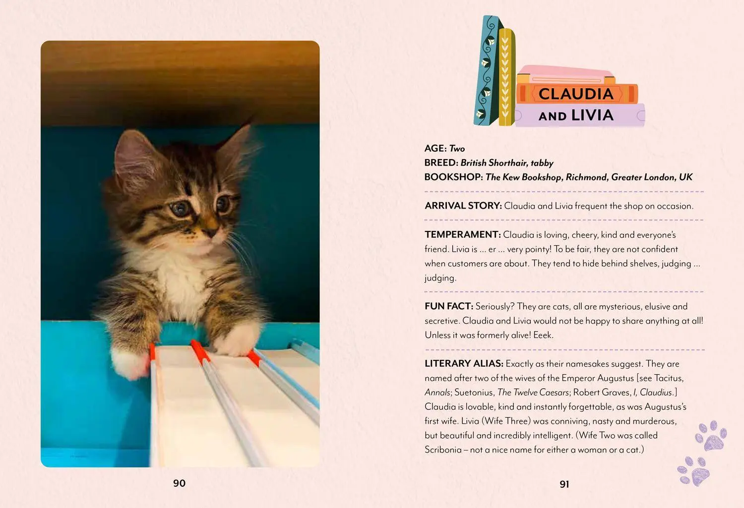 Bild: 9780008710200 | Bookshop Cats | Daphne Du Meowier | Buch | 128 S. | Englisch | 2026