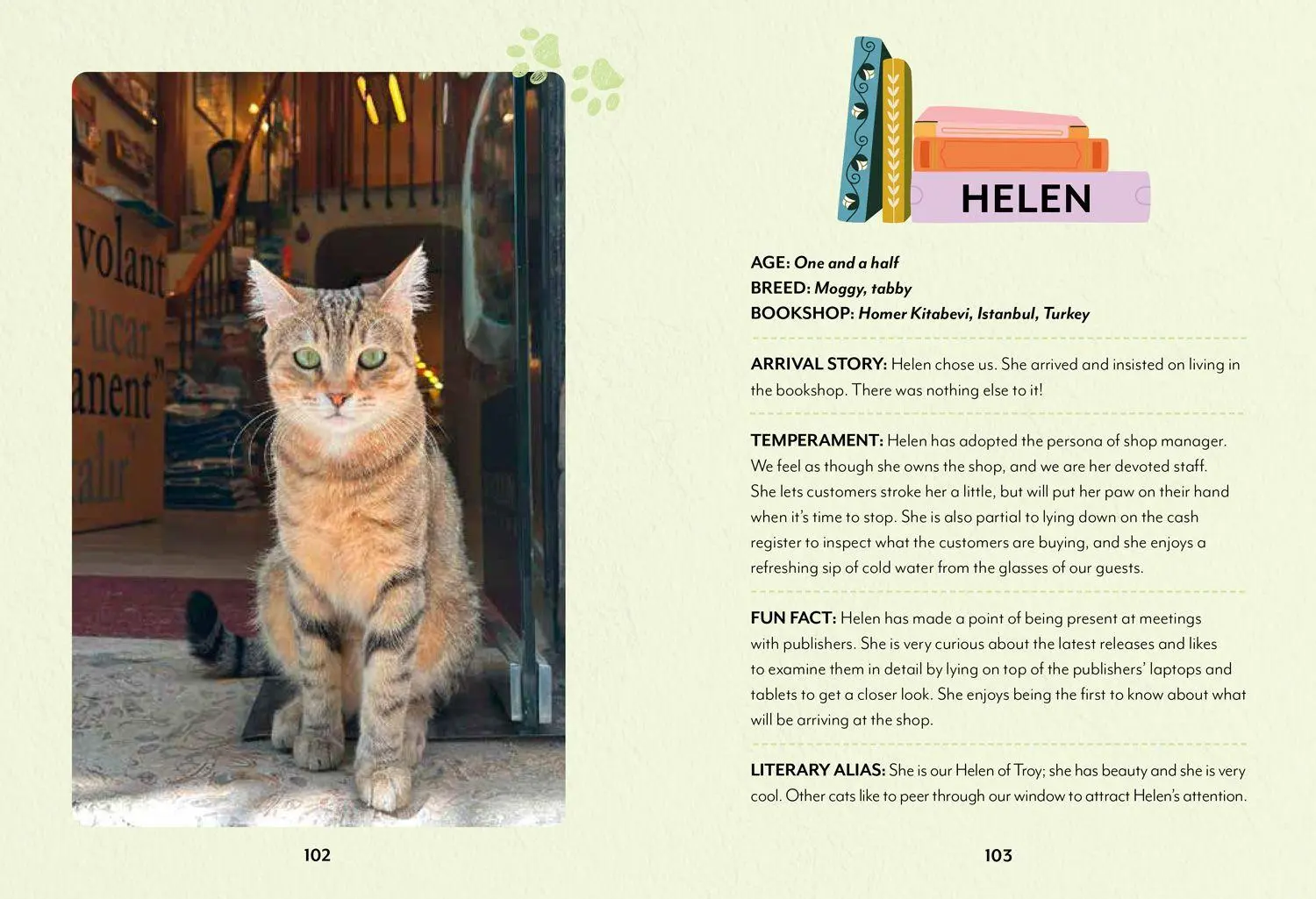 Bild: 9780008710200 | Bookshop Cats | Daphne Du Meowier | Buch | 128 S. | Englisch | 2026