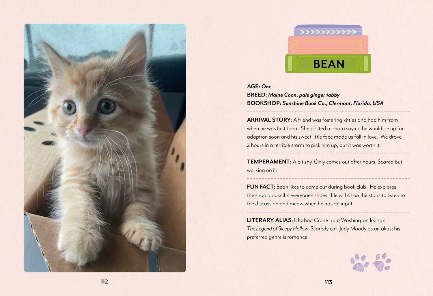 Bild: 9780008710200 | Bookshop Cats | Daphne Du Meowier | Buch | 128 S. | Englisch | 2026