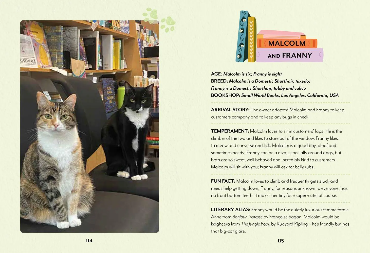 Bild: 9780008710200 | Bookshop Cats | Daphne Du Meowier | Buch | 128 S. | Englisch | 2026