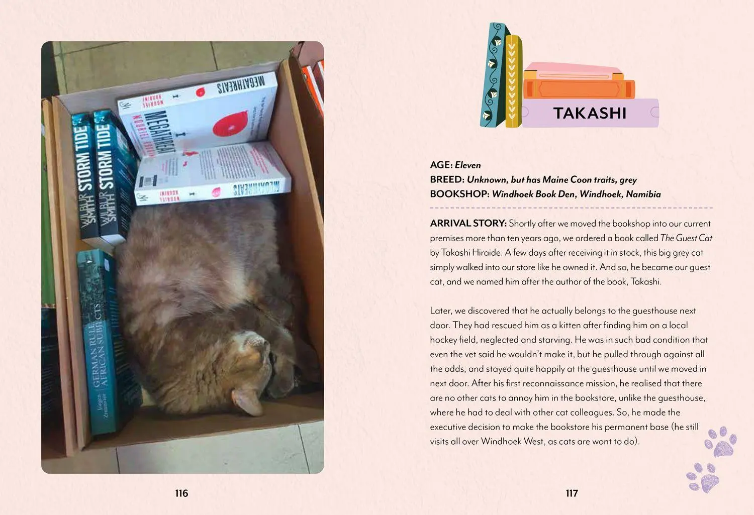 Bild: 9780008710200 | Bookshop Cats | Daphne Du Meowier | Buch | 128 S. | Englisch | 2026