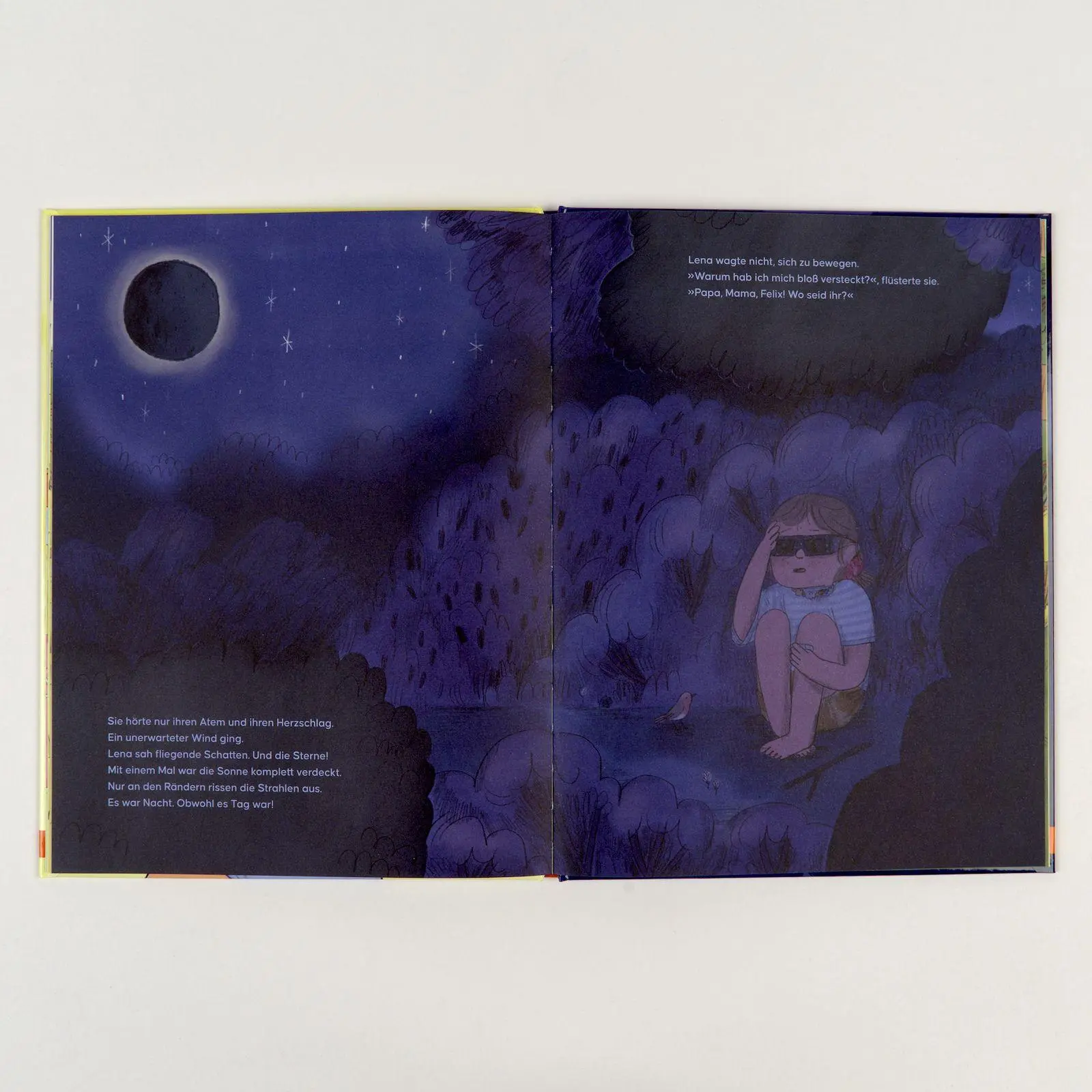 Bild: 9783407790200 | Die Sonne nervt! | Vierfarbiges Bilderbuch | Matthias Kröner (u. a.)