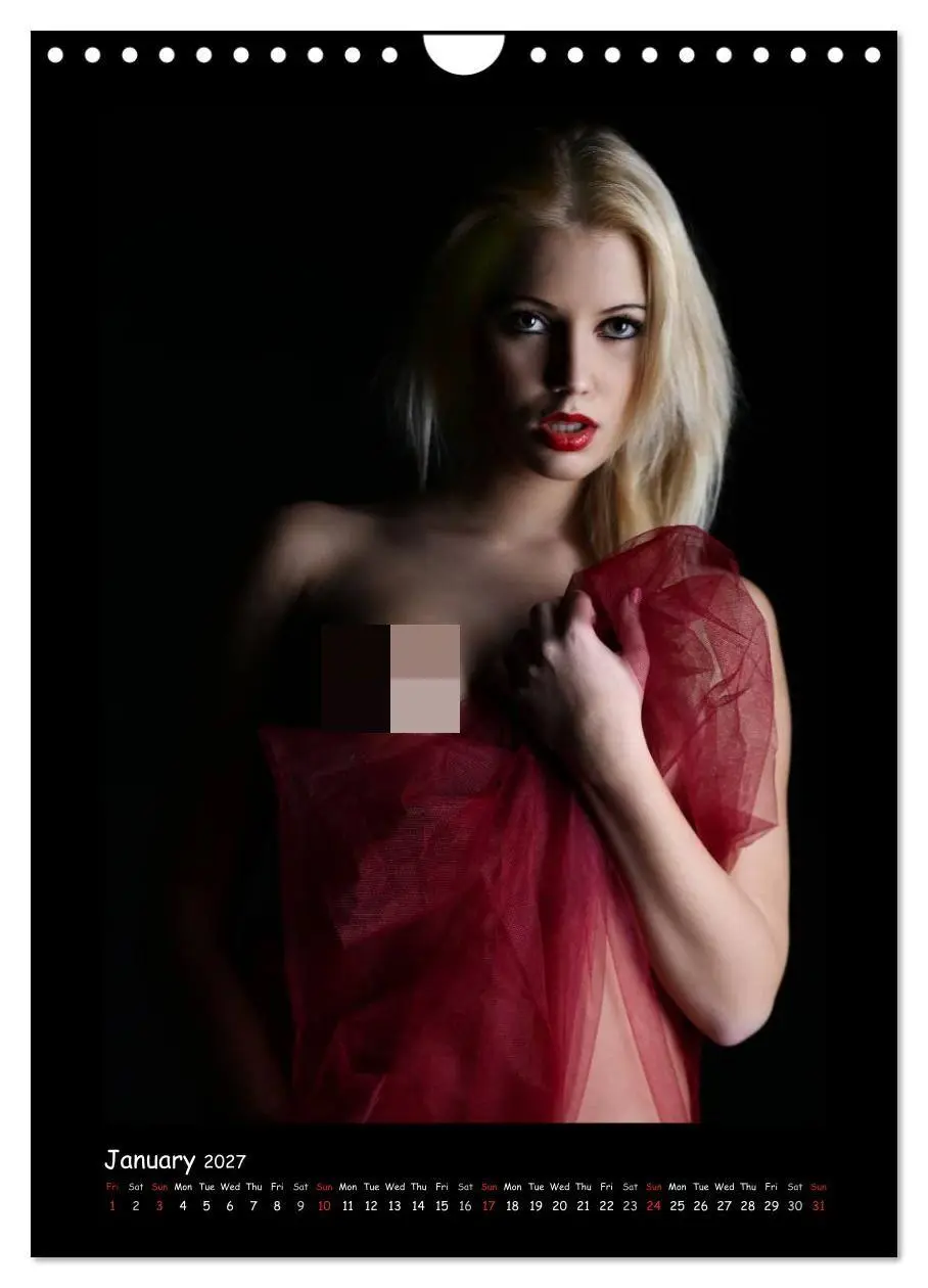 Bild: 9783569920200 | Julia's erotic portraits (Wall Calendar 2027 DIN A4 portrait),...
