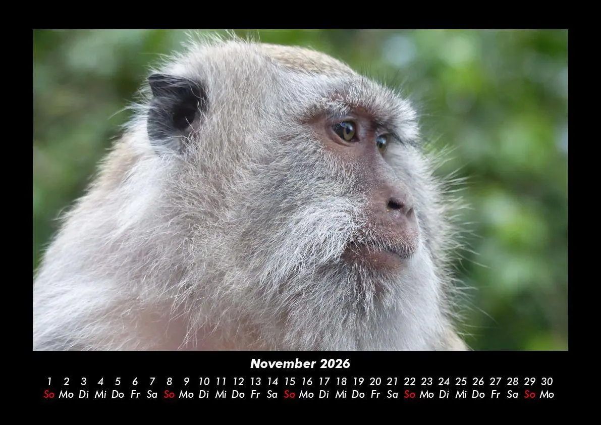 Bild: 9783695410200 | Bali 2026 Fotokalender DIN A3 | Tobias Becker | Kalender | Deutsch