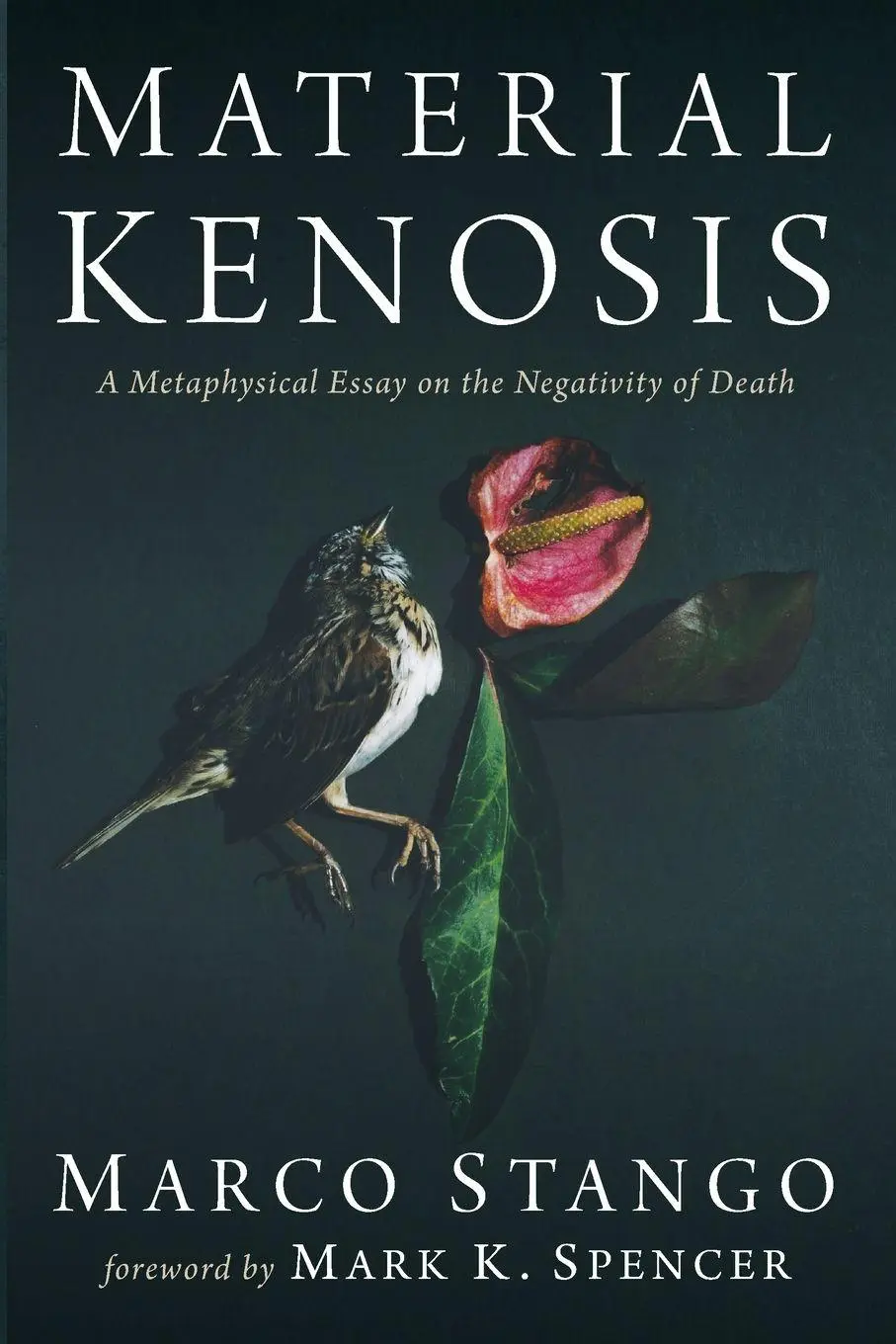 Cover: 9781666750300 | Material Kenosis | Marco Stango | Taschenbuch | Englisch | 2025