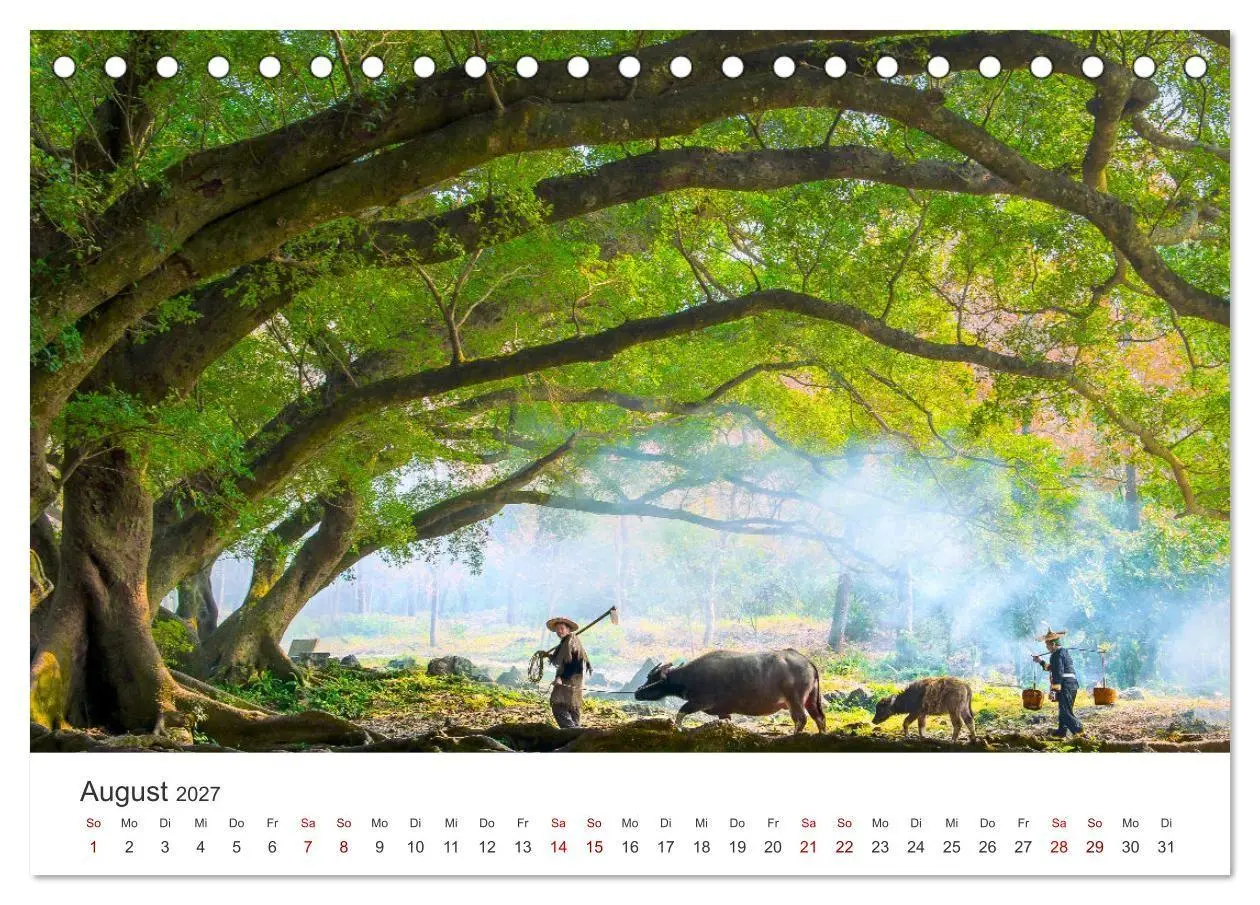 Bild: 9783569460300 | China - Tradition trifft Moderne. (Tischkalender 2027 DIN A5 quer),...