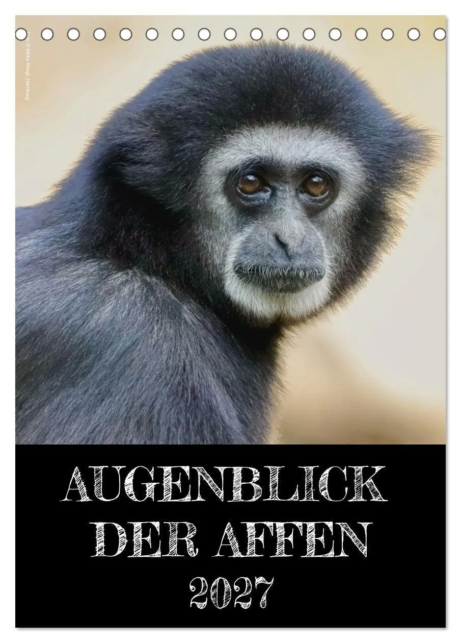 Cover: 9783569840300 | Augenblick der Affen 2027 (Tischkalender 2027 DIN A5 hoch),...
