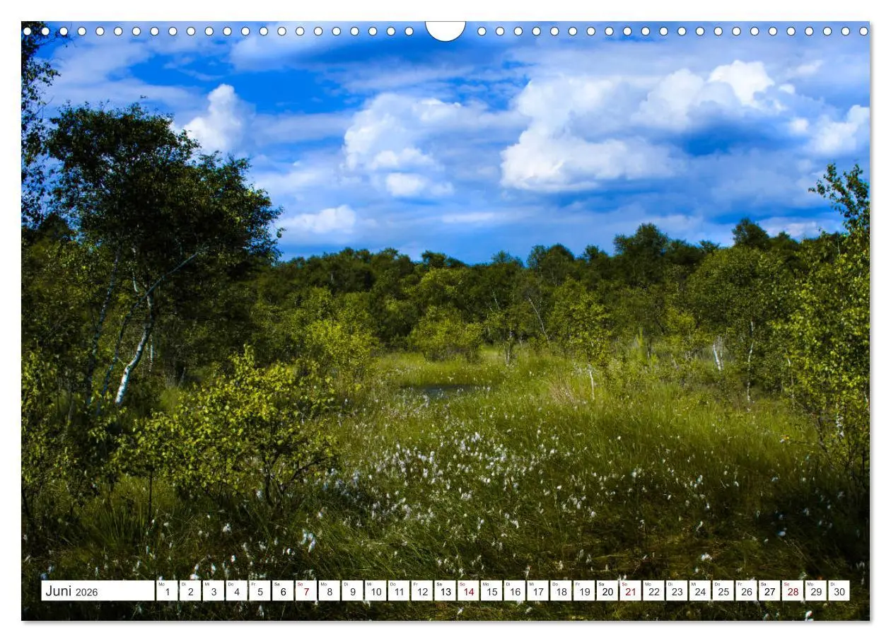 Bild: 9783457890400 | Osterholz-Scharmbeck, Natur-Impressionen aus dem Teufelsmoor...