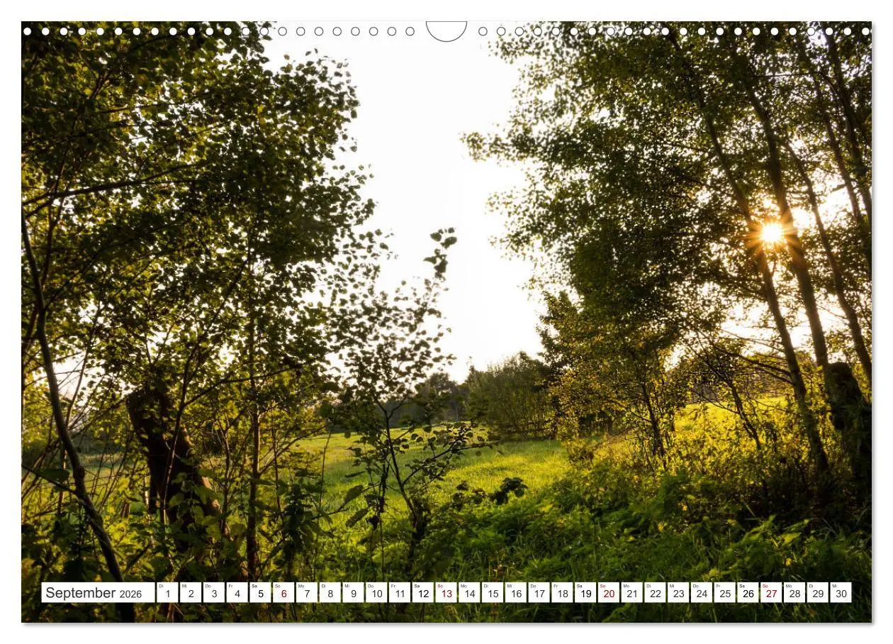 Bild: 9783457890400 | Osterholz-Scharmbeck, Natur-Impressionen aus dem Teufelsmoor...