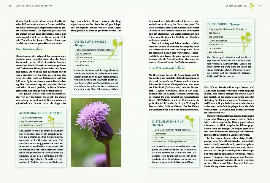 Bild: 9783818620400 | Geheimnisse der Unkräuter | Rudi Beiser | Buch | 192 S. | Deutsch
