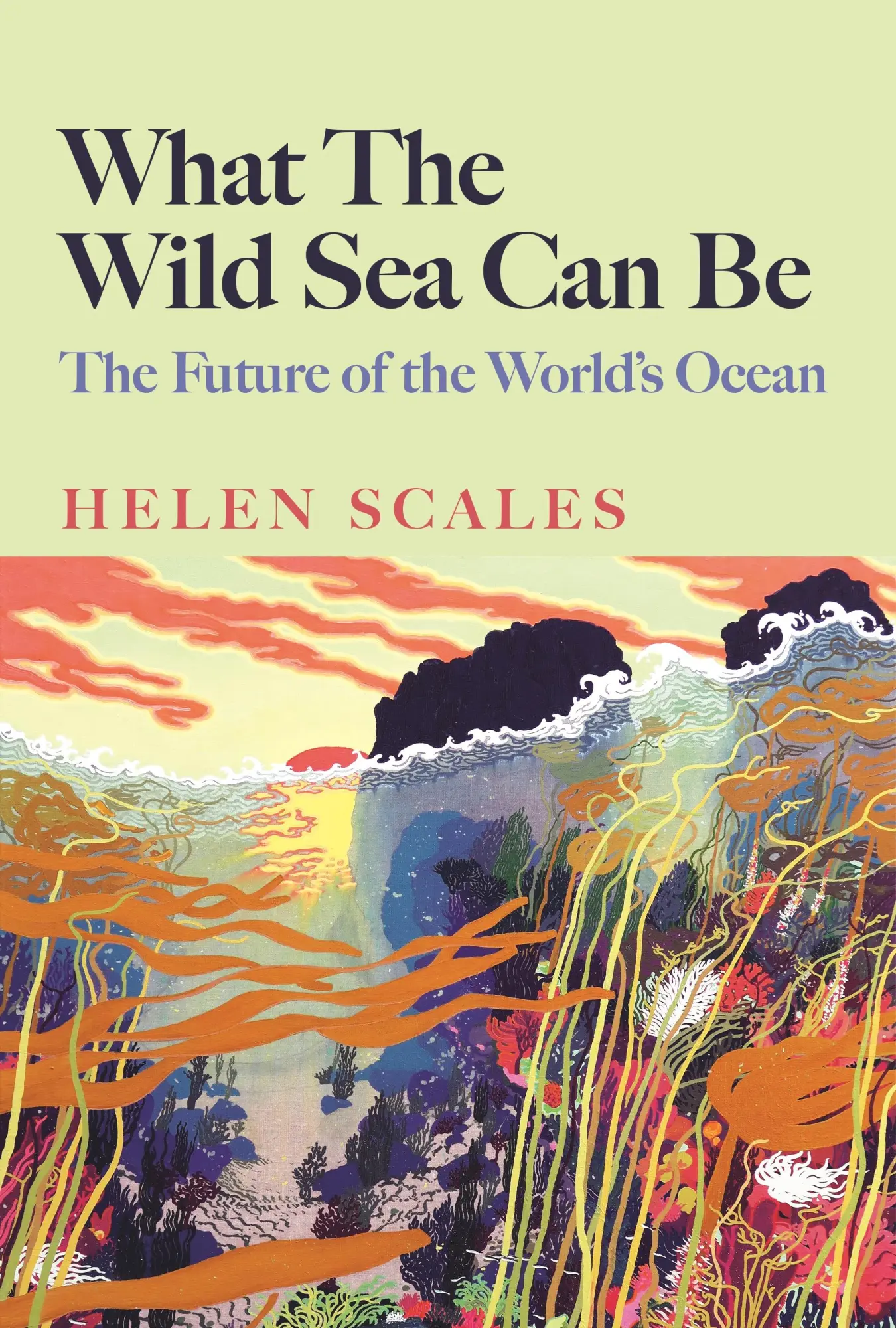 Cover: 9781804710500 | What the Wild Sea Can Be | The Future of the World's Ocean | Scales