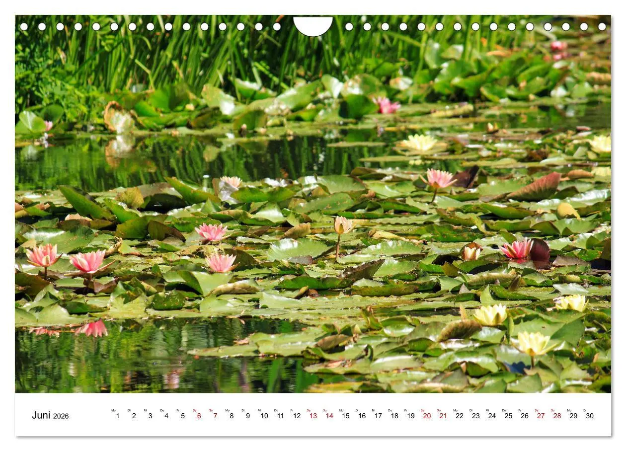 Bild: 9783457640500 | Normandie - zwischen Land und Meer (Wandkalender 2026 DIN A4 quer),...