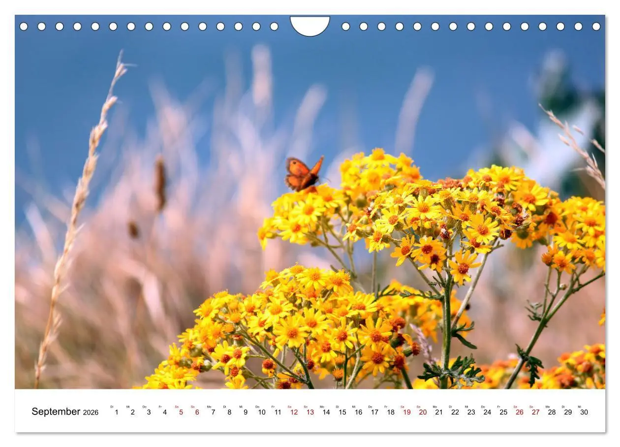 Bild: 9783457640500 | Normandie - zwischen Land und Meer (Wandkalender 2026 DIN A4 quer),...