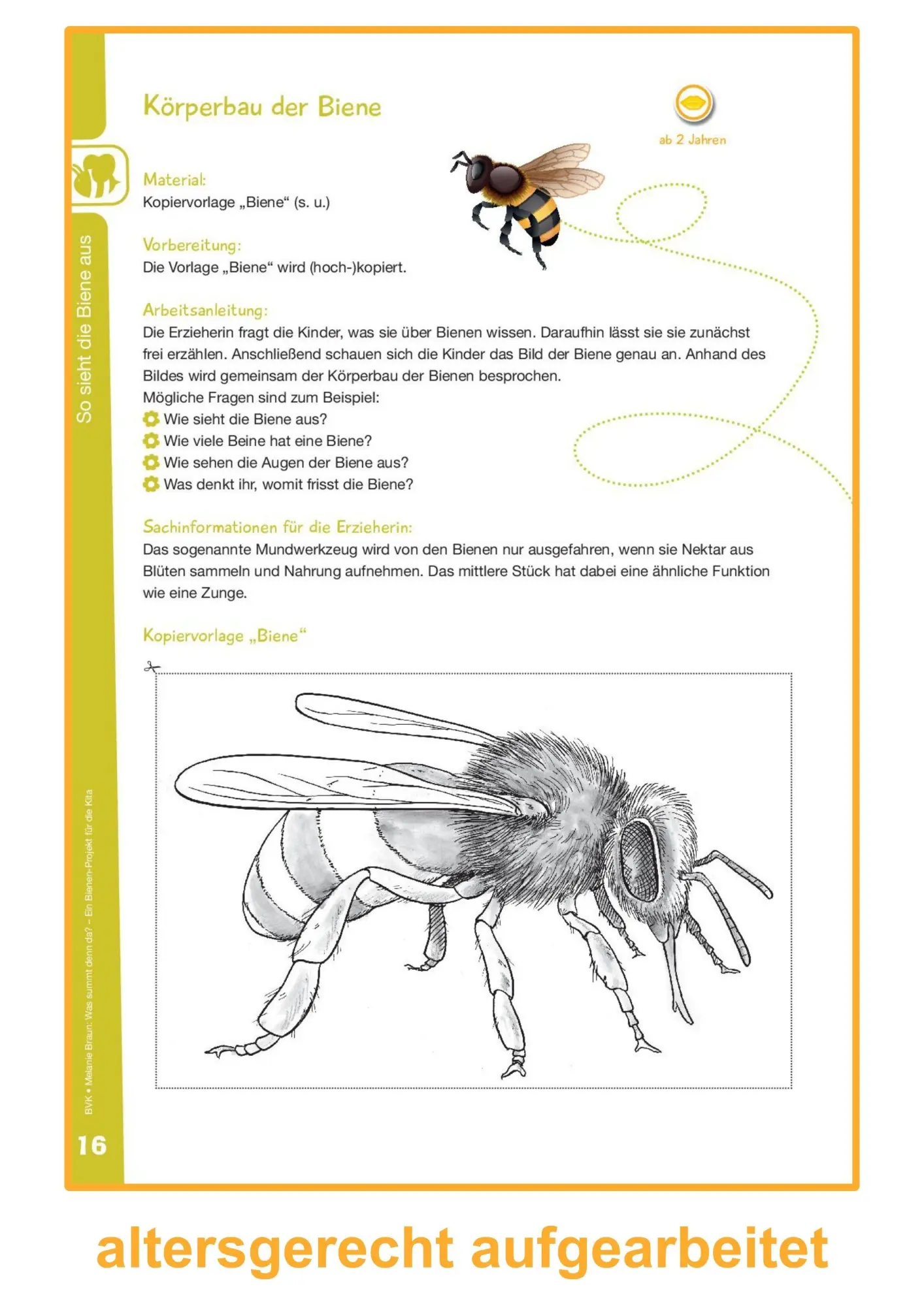 Bild: 9783965200500 | Was summt denn da? | Ein Bienen-Projekt für die Kita | Melanie Braun