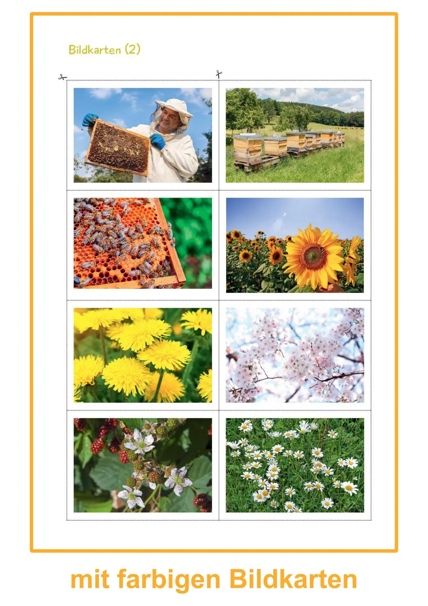 Bild: 9783965200500 | Was summt denn da? | Ein Bienen-Projekt für die Kita | Melanie Braun
