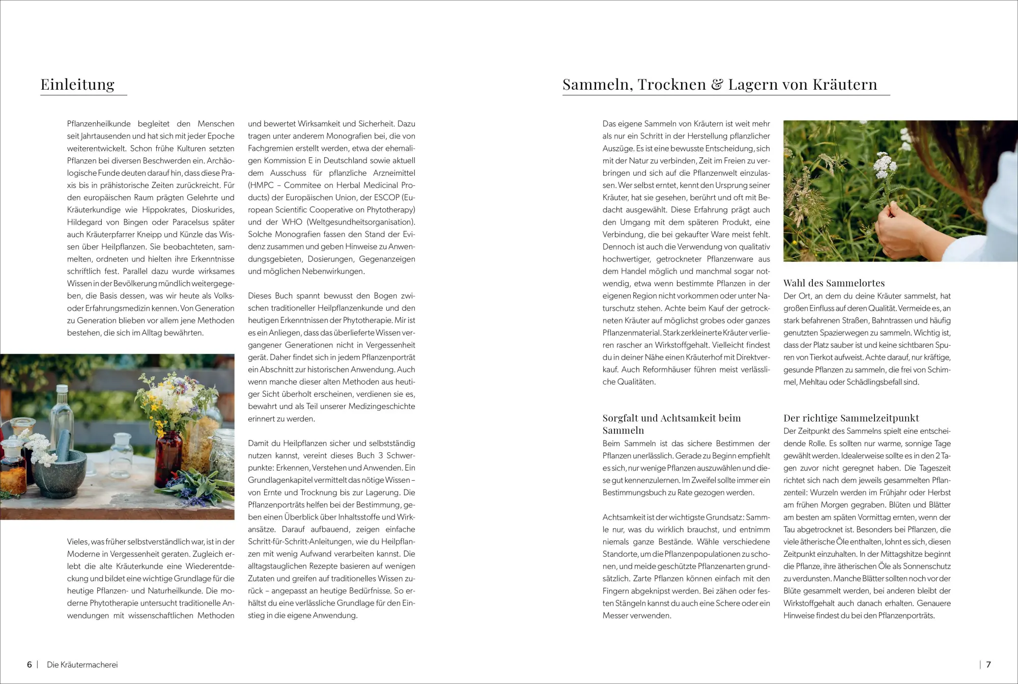 Bild: 9783989510500 | Die Kräutermacherei. Meine Naturapotheke. | Tina Rosenkranz | Buch