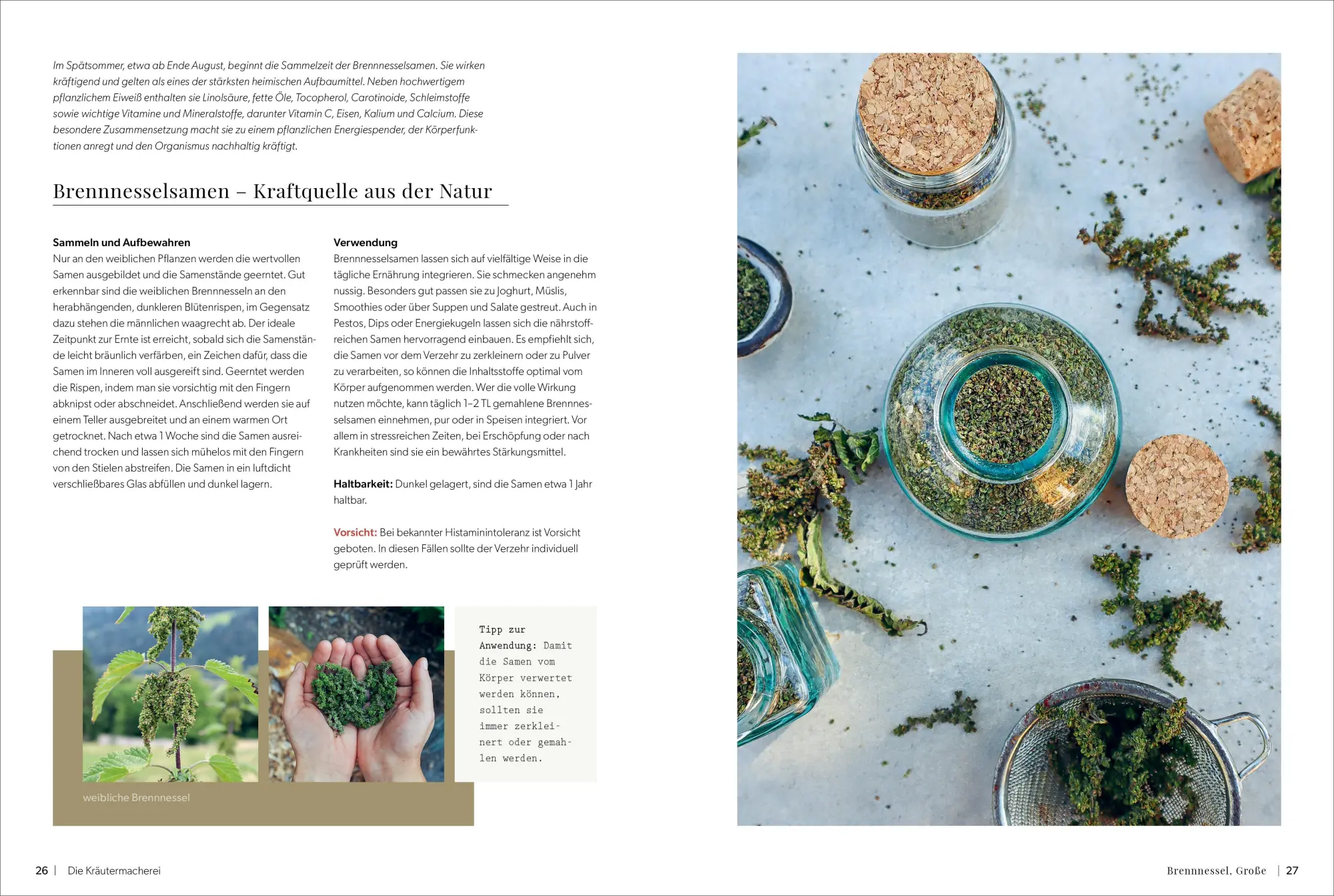 Bild: 9783989510500 | Die Kräutermacherei. Meine Naturapotheke. | Tina Rosenkranz | Buch