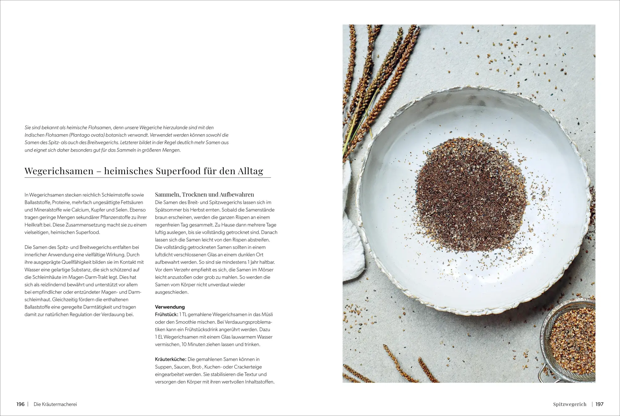 Bild: 9783989510500 | Die Kräutermacherei. Meine Naturapotheke. | Tina Rosenkranz | Buch