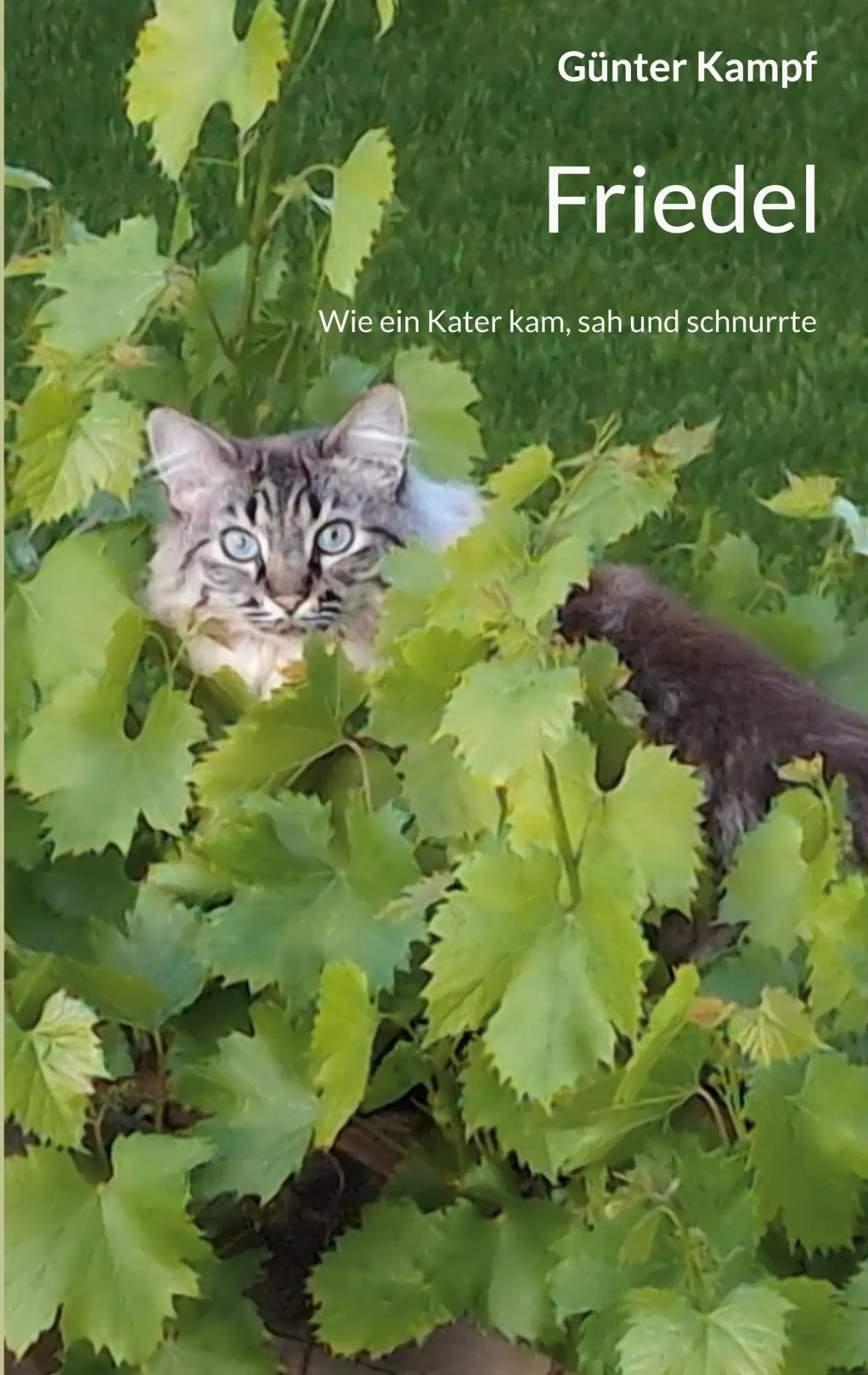 Cover: 9783695160600 | Friedel | Wie ein Kater kam, sah und schnurrte | Günter Kampf | Buch