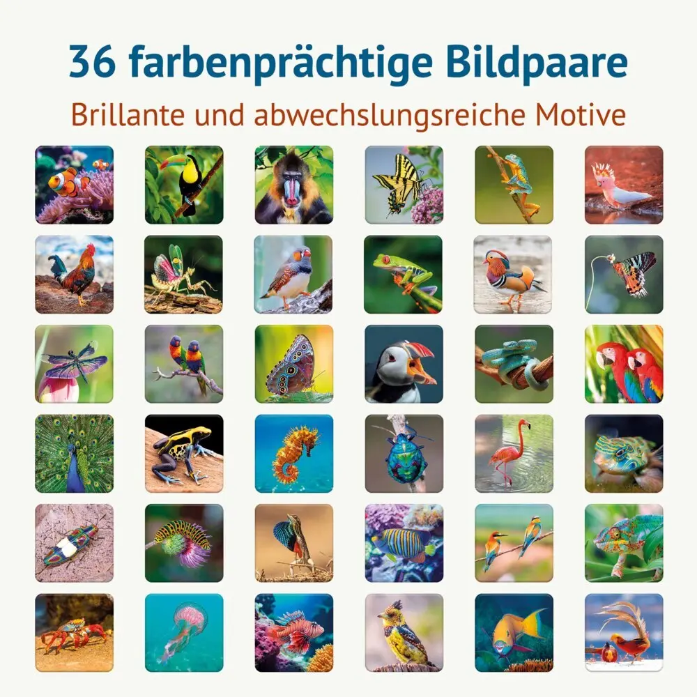 Bild: 4260472860700 | Farbenprächtig - Memospiel | Tanja Philippeit | Spiel | Deutsch | 2025