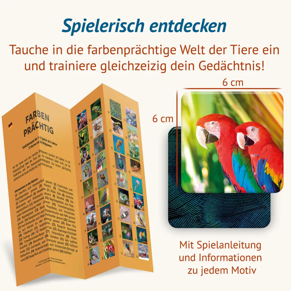 Bild: 4260472860700 | Farbenprächtig - Memospiel | Tanja Philippeit | Spiel | Deutsch | 2025