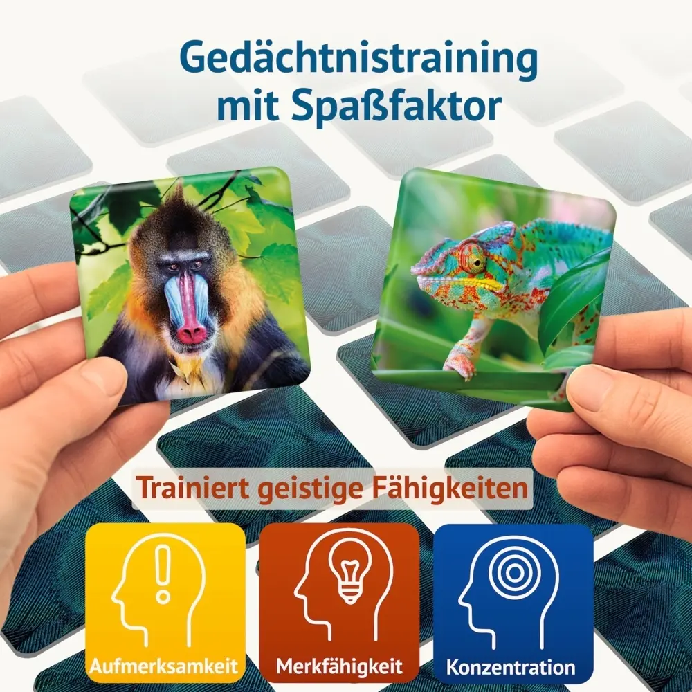 Bild: 4260472860700 | Farbenprächtig - Memospiel | Tanja Philippeit | Spiel | Deutsch | 2025