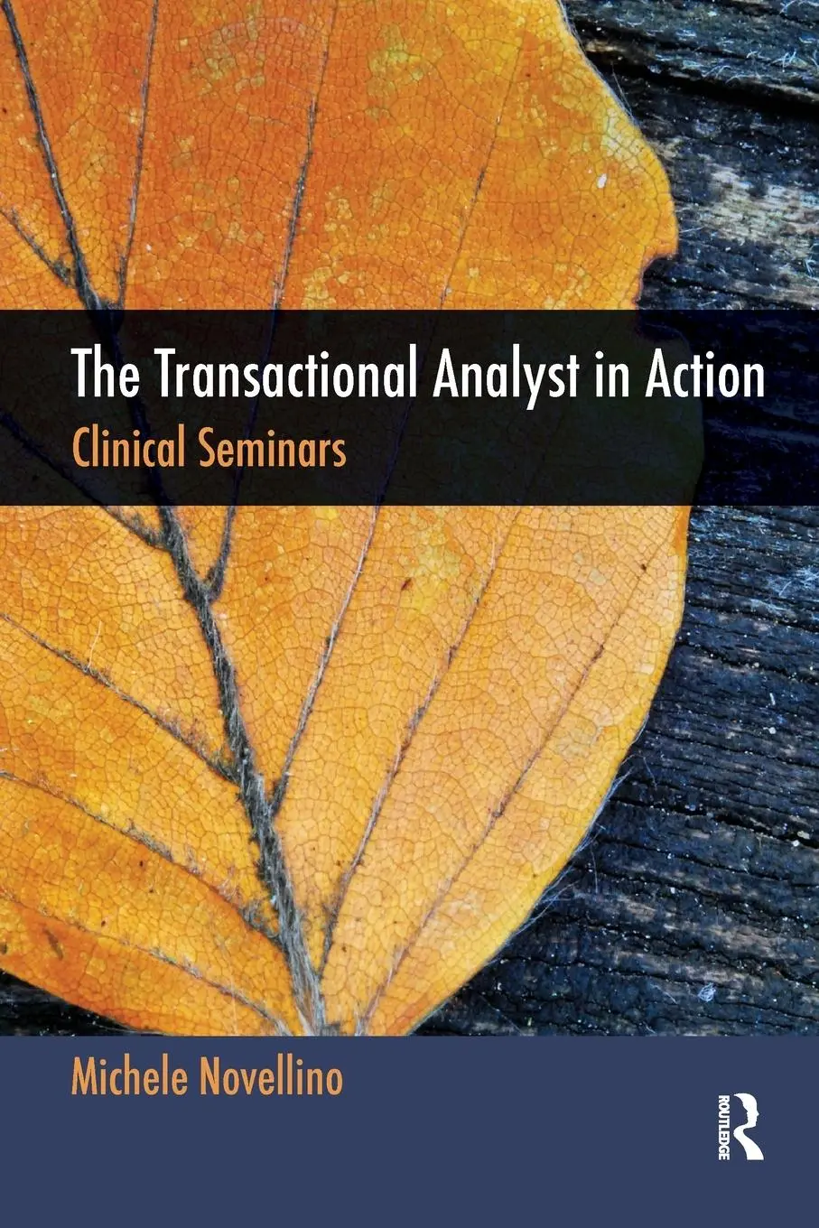 Cover: 9781780490700 | The Transactional Analyst in Action | Clinical Seminars | Novellino