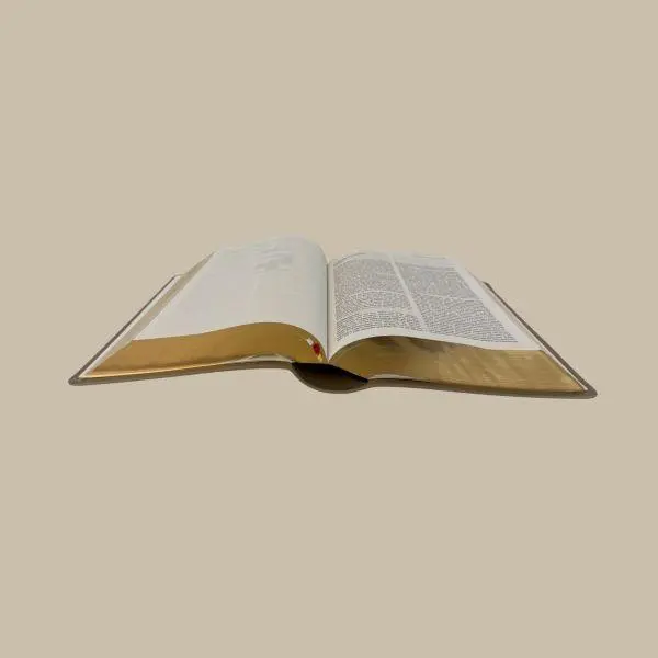 Bild: 9783417020700 | Elberfelder Bibel. Die große Studien- und Kommentarausgabe Leder...