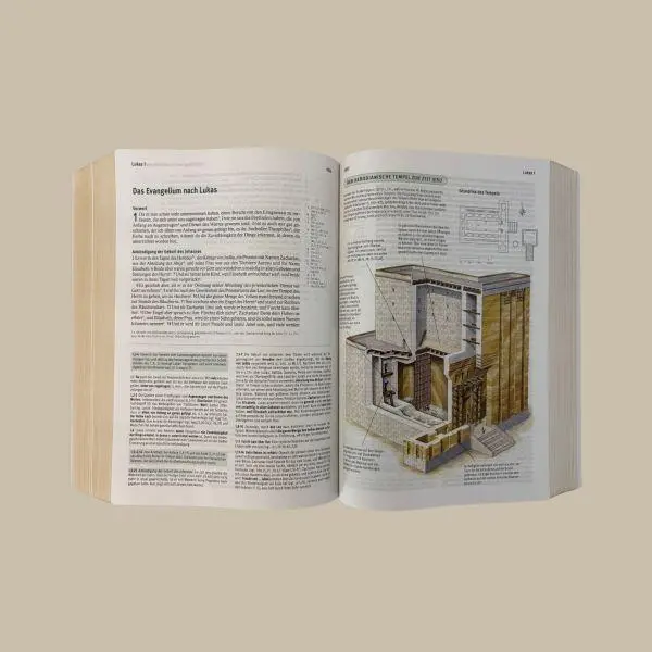 Bild: 9783417020700 | Elberfelder Bibel. Die große Studien- und Kommentarausgabe Leder...
