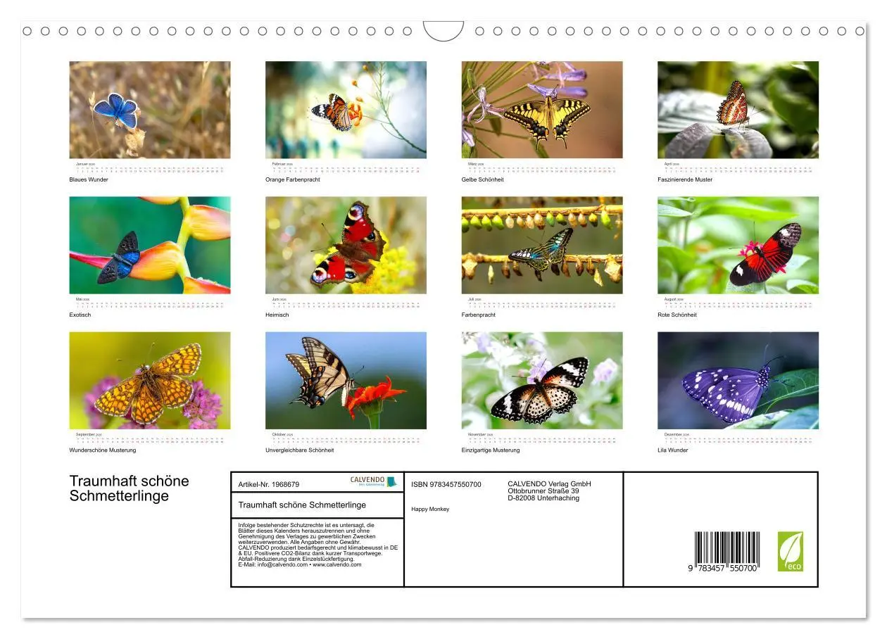 Bild: 9783457550700 | Traumhaft schöne Schmetterlinge (Wandkalender 2026 DIN A3 quer),...