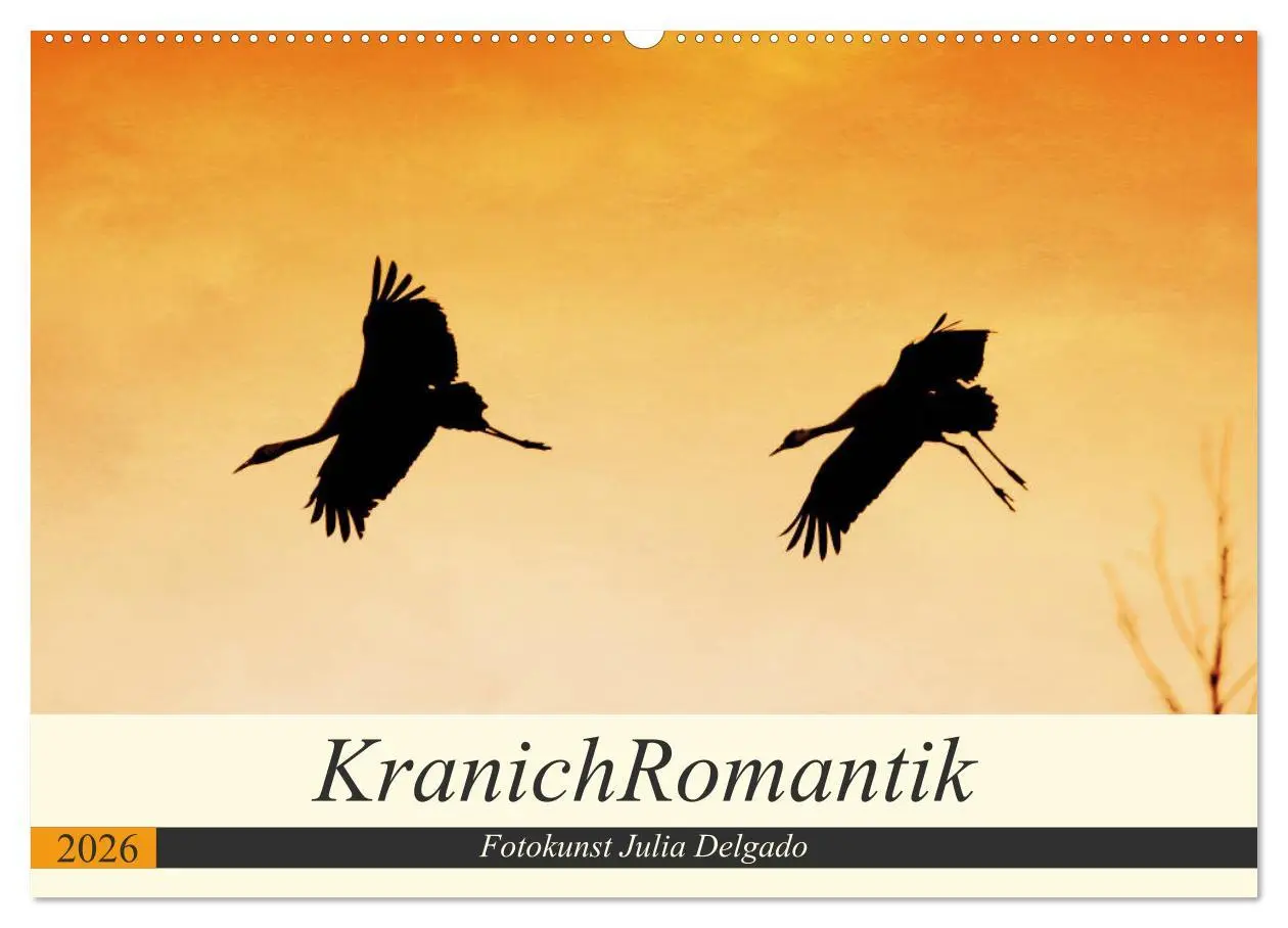 Cover: 9783457930700 | KranichRomantik (Wandkalender 2026 DIN A2 quer), CALVENDO...