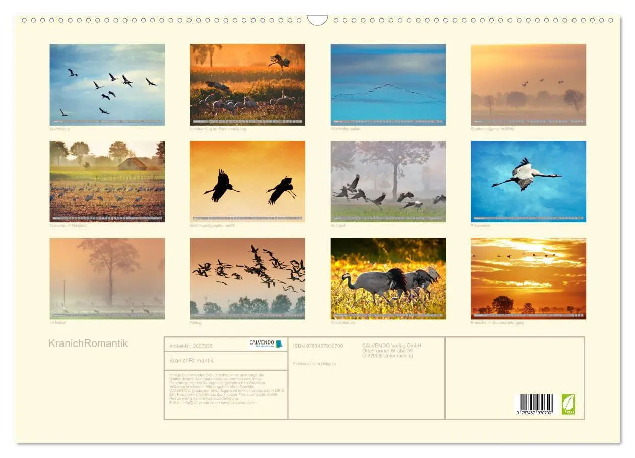 Bild: 9783457930700 | KranichRomantik (Wandkalender 2026 DIN A2 quer), CALVENDO...