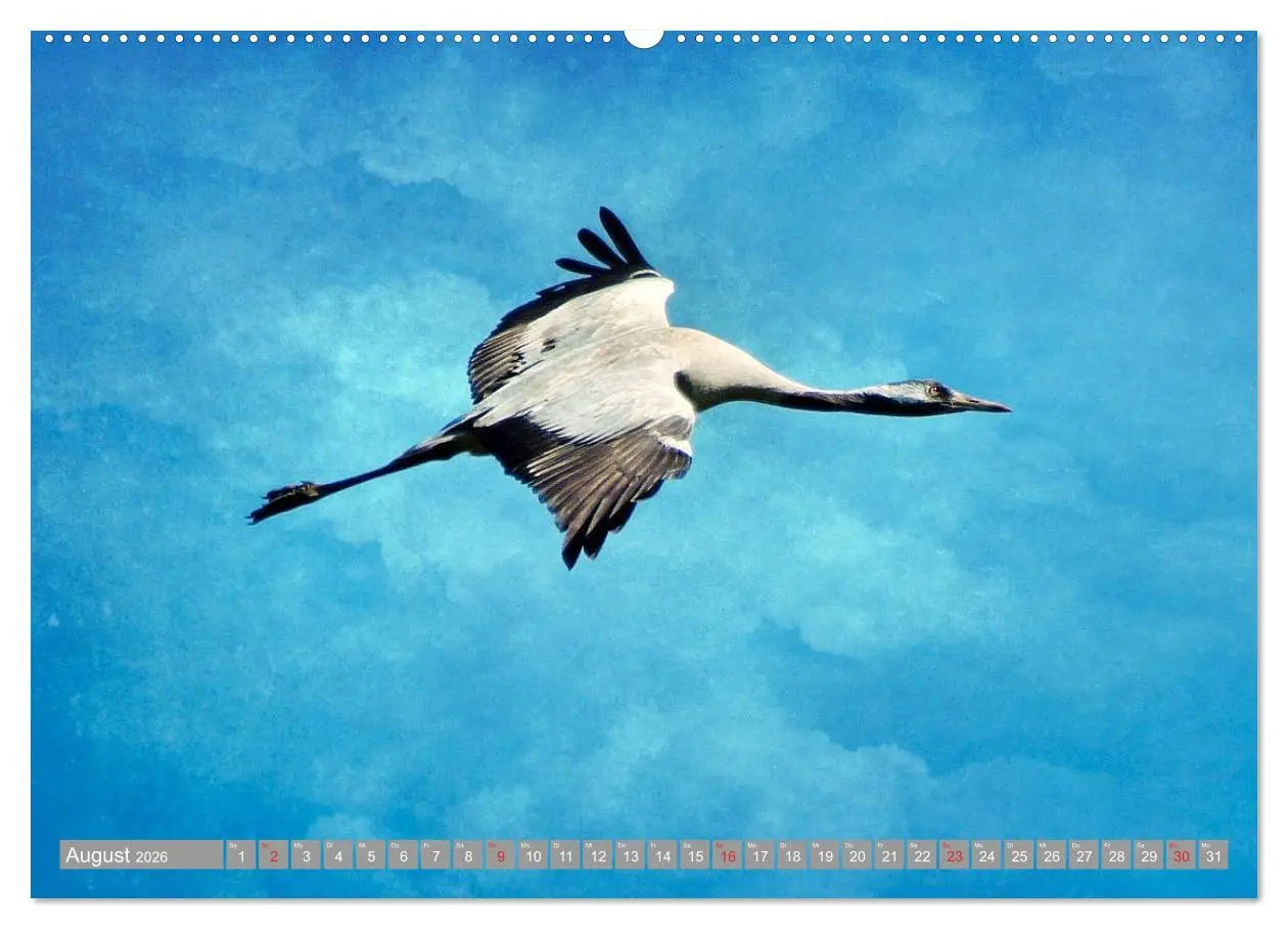 Bild: 9783457930700 | KranichRomantik (Wandkalender 2026 DIN A2 quer), CALVENDO...