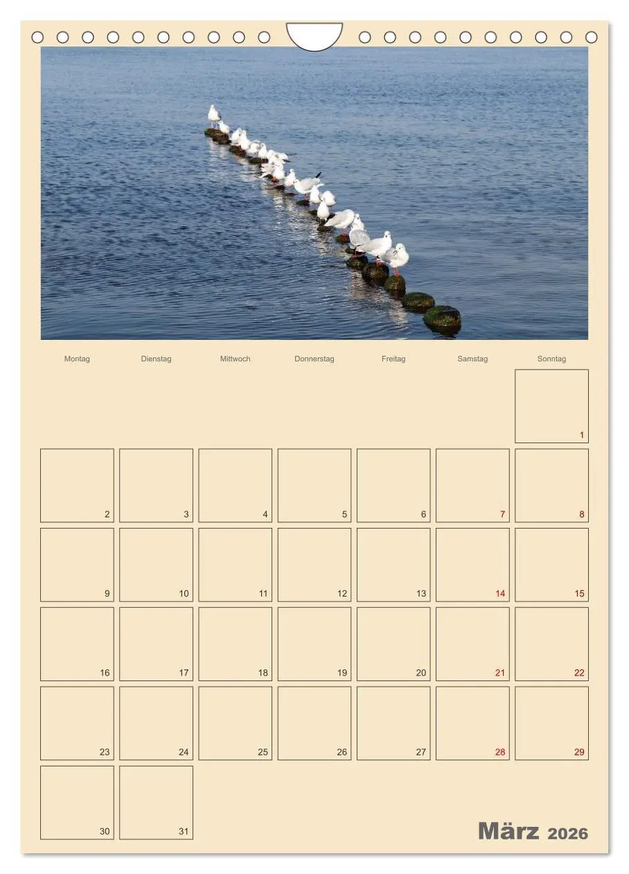 Bild: 9783516330700 | Usedom Ostsee - Terminplaner (Wandkalender 2026 DIN A4 hoch),...