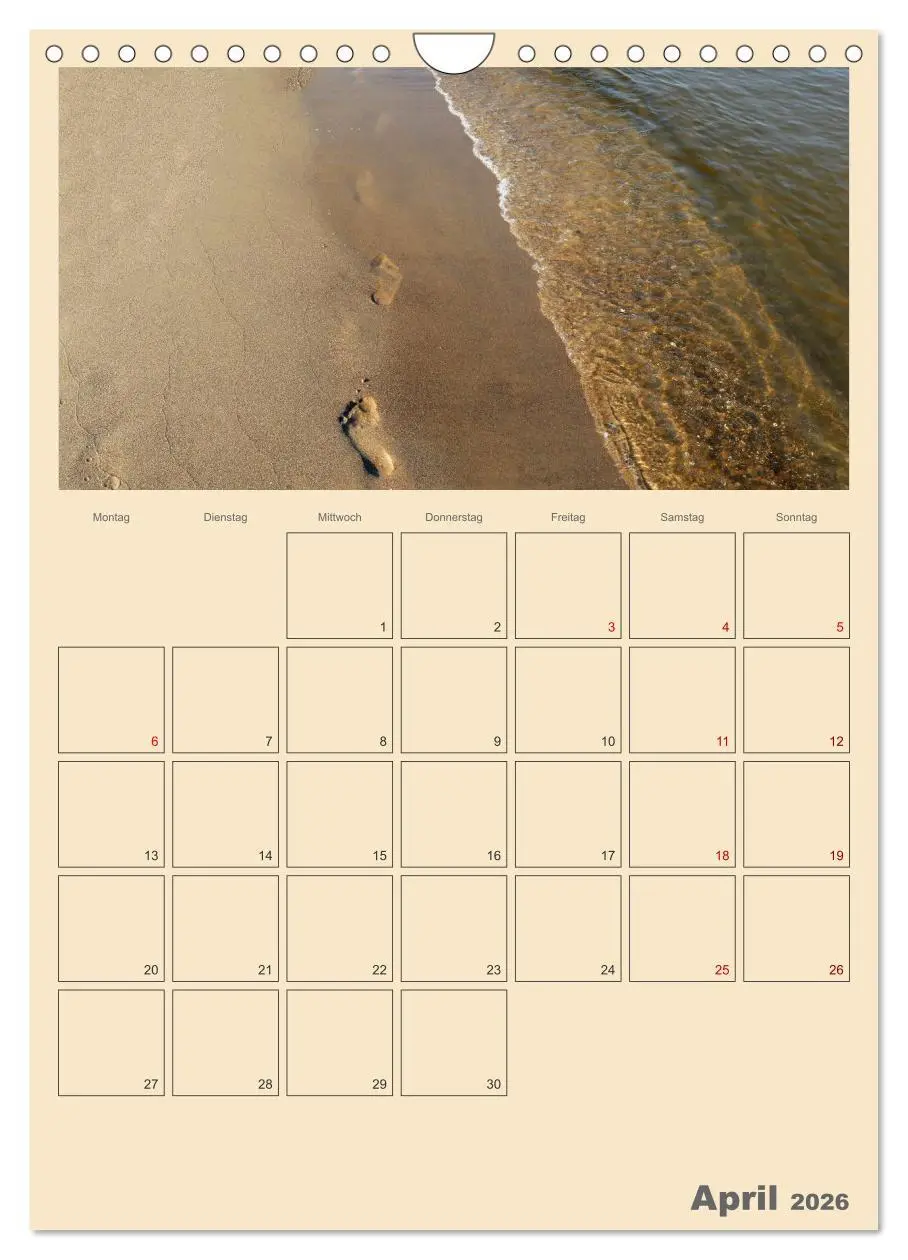Bild: 9783516330700 | Usedom Ostsee - Terminplaner (Wandkalender 2026 DIN A4 hoch),...
