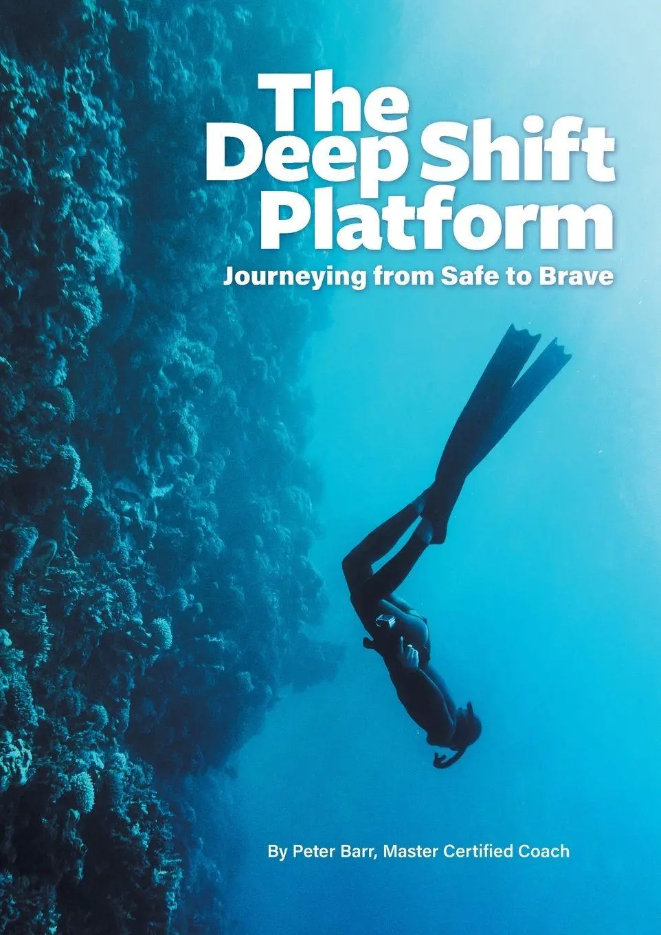 Cover: 9780645560800 | The Deep Shift Platform | Journeying from Safe to Brave | Peter Barr