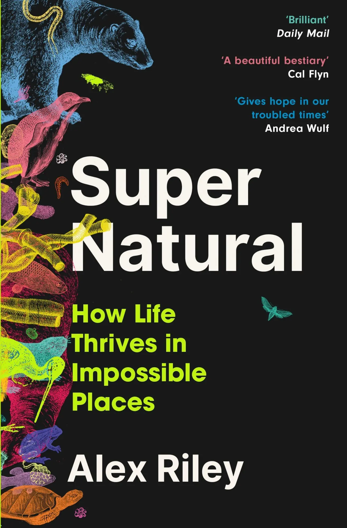 Cover: 9781805460800 | Super Natural | How Life Thrives in Impossible Places | Alex Riley