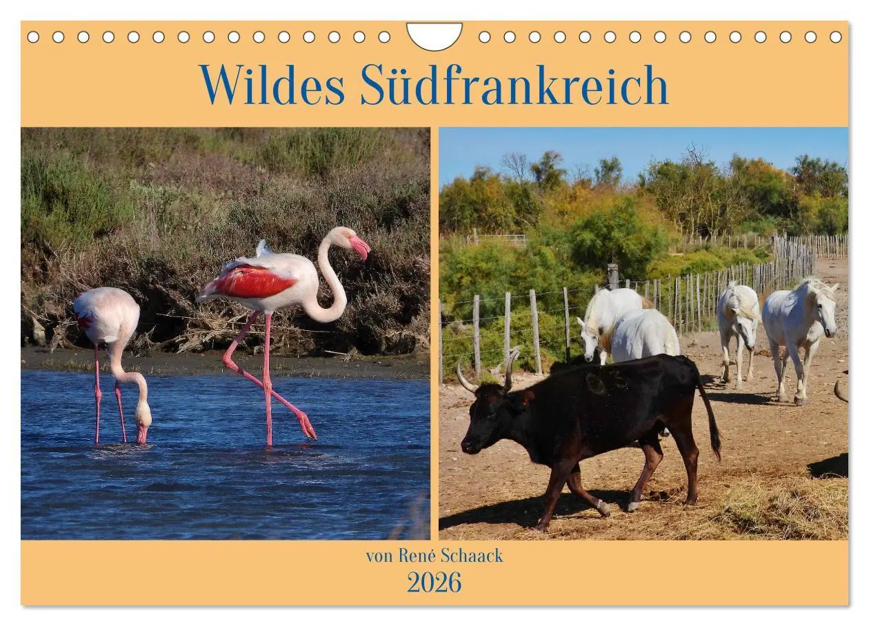 Cover: 9783457780800 | Wildes Südfrankreich (Wandkalender 2026 DIN A4 quer), CALVENDO...